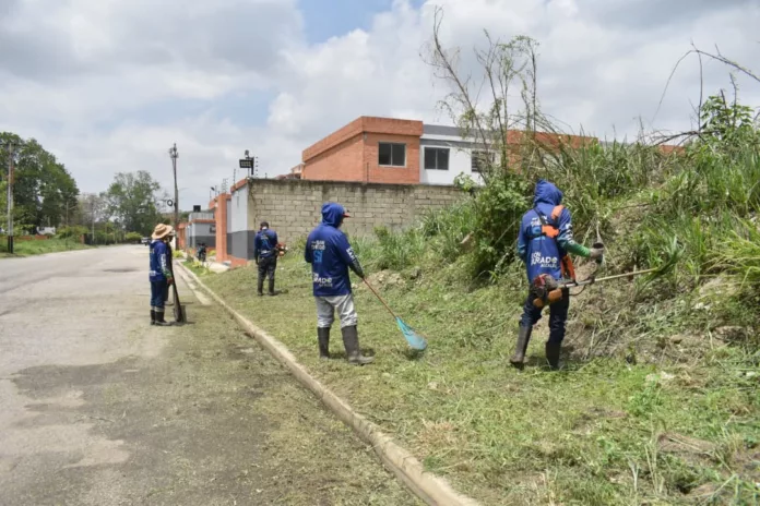 Cuadrillas de IAM Fumcosandi realizaron labores de desmalezado en El Tulipán, Valle de Oro y El Seminario